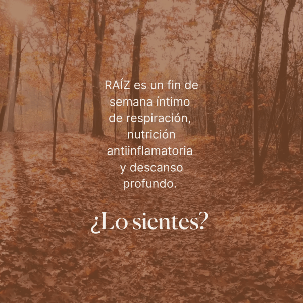 RESERVA - Retiro de Otoño - Imagen 3